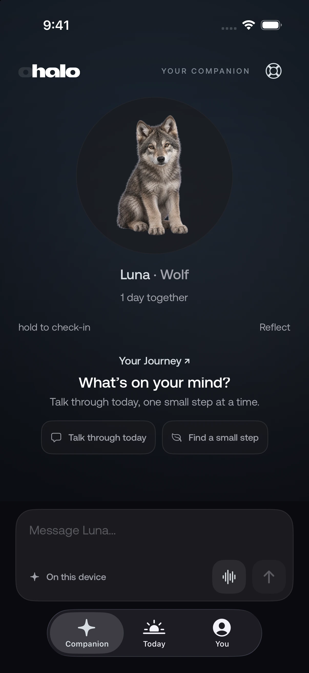 Current Halo Luna companion with reflection prompts and on-device composer