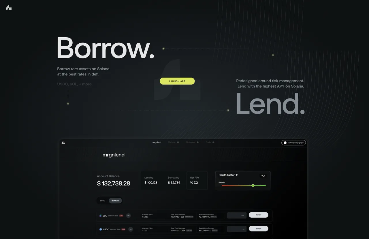 MarginFi platform dashboard